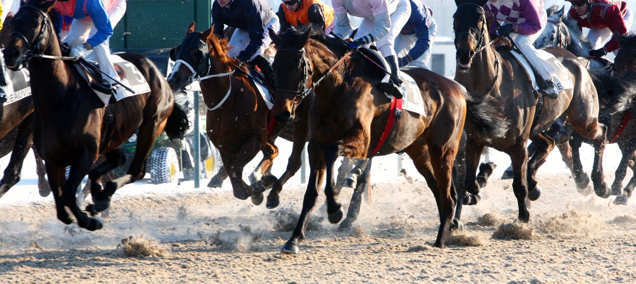 Des nouvelles des jockeys blessés mercredi à Deauville