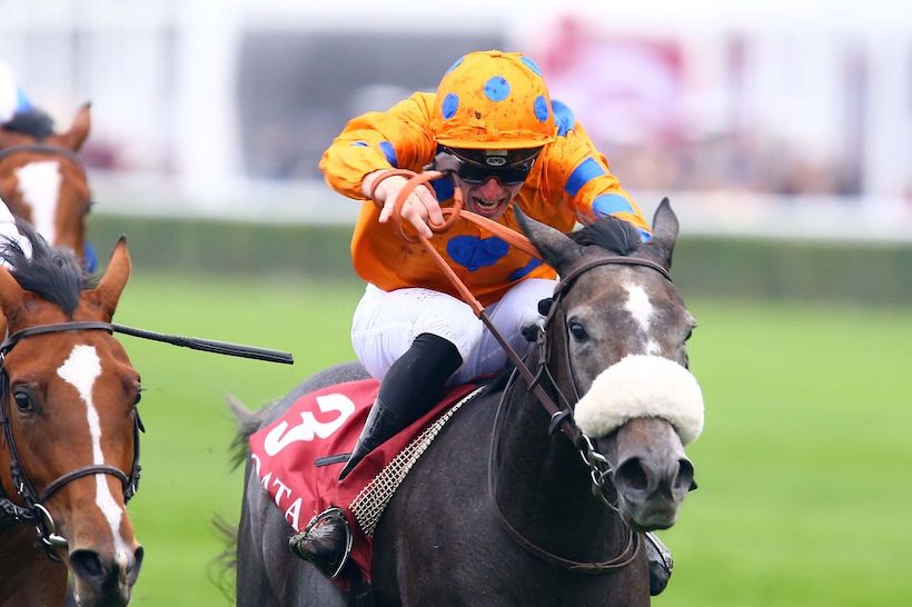 Qatar Prix Marcel Boussac: Lily’s Candle or Martin Schwartz’s lucky star