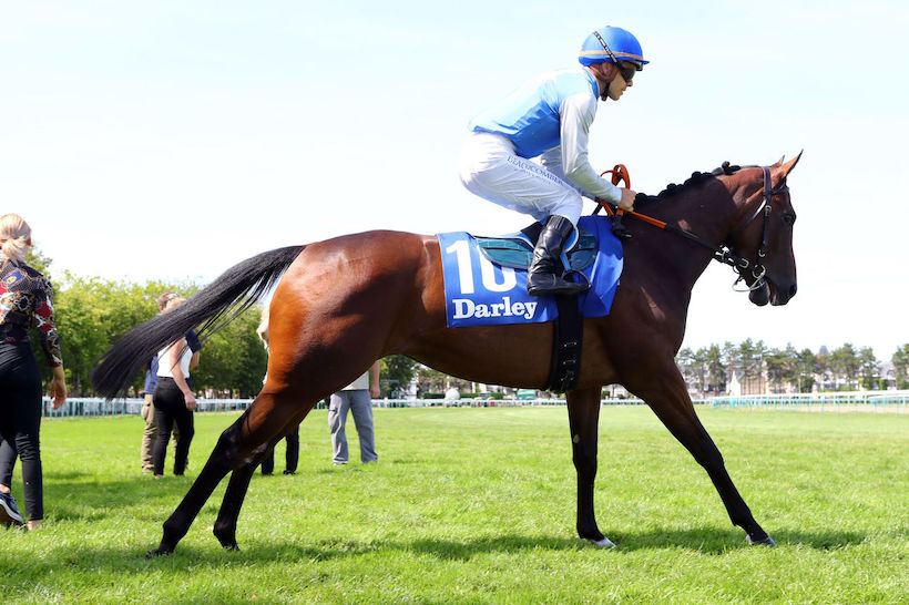 Darley Cabourg : Jolie looks for a revenge