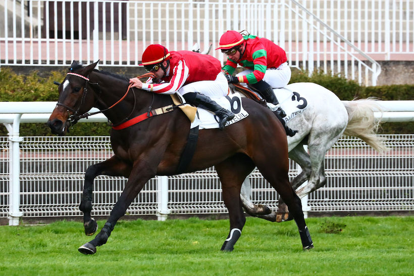 D'Indy 4yo Hurdle : A good day for Grand Messe
