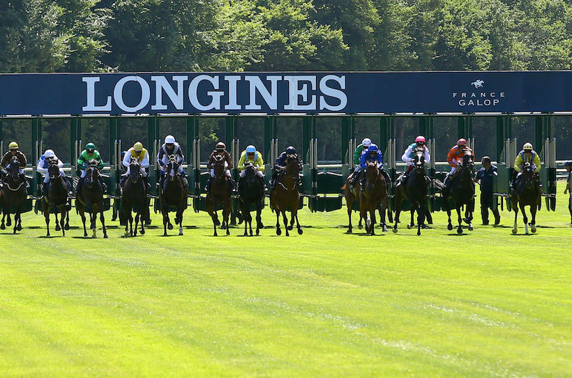 Diane Longines Preview: What if it was a vintage year?
