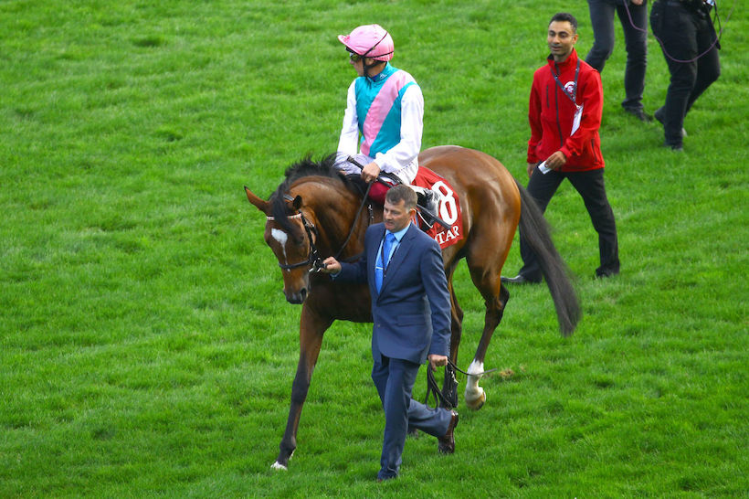Qatar Arc Road: Enable's perfect prep for a historic third Arc
