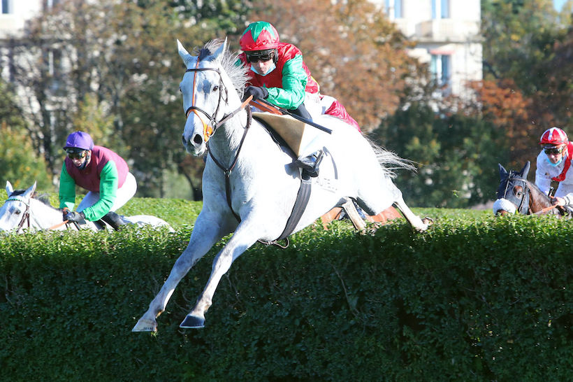 Maurice Gillois 4yo Chase Preview: Le Berry’s out for the crown