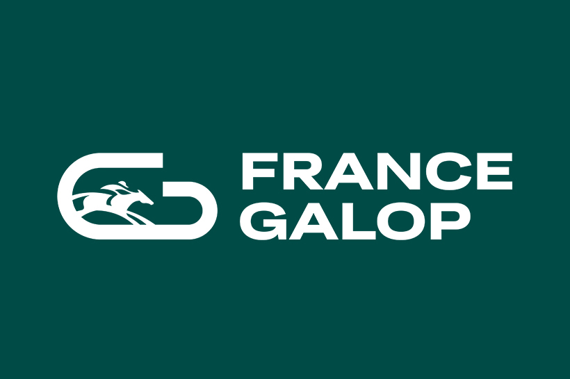 logo FG vert