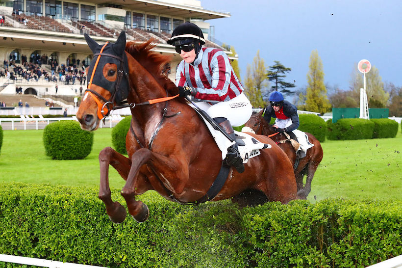 A Fleuret 4yo Chase History: In the name of a great little horse