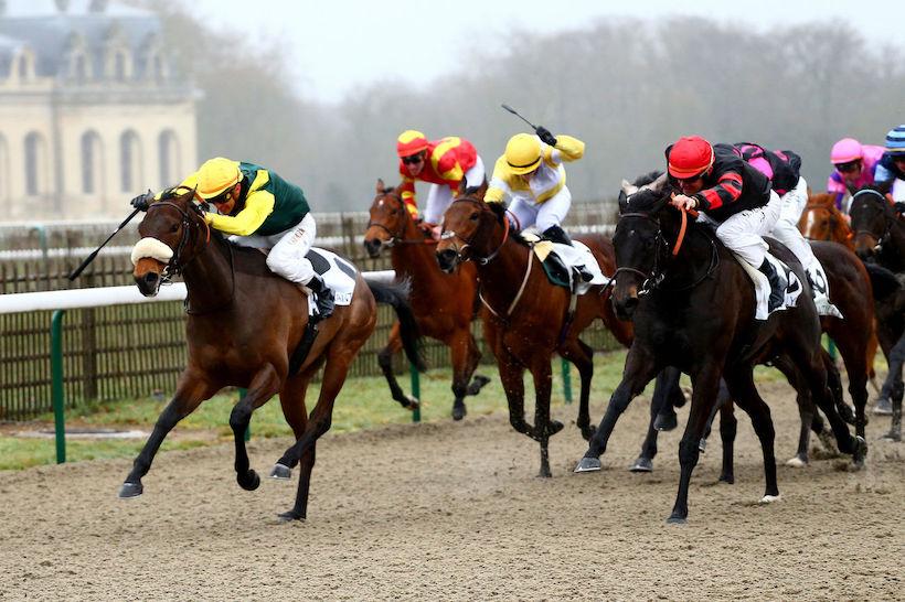 Lingfield All-weather championships : Pizzicato express ! Lingfield All-weather championships : Pizzicato express !