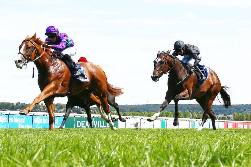 Darley Prix de Cabourg Report: Cairn Gorm reaches new heights Darley Prix de Cabourg Report: Cairn Gorm reaches new heights