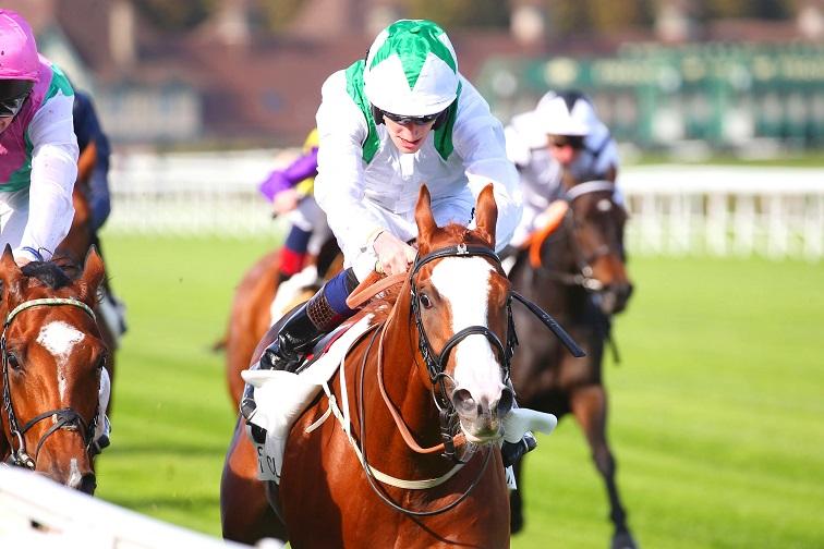 Dubai Mile prend rendez-vous pour les classiques de 2023